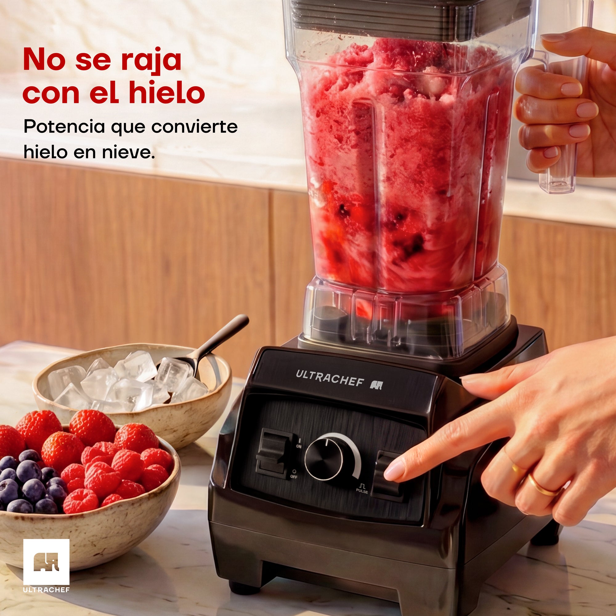 Licuadora Profesional U2000